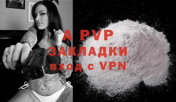 твердый Белокуриха