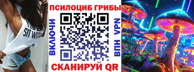 Псилоцибиновые грибы Psilocybine cubensis  Гремячинск 